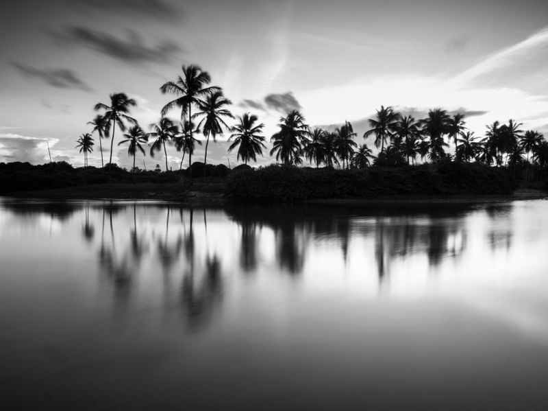 REFLEXOS NIGRI