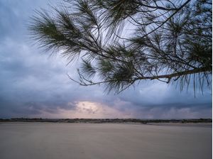 SUNRISE AT CAMURUPIM