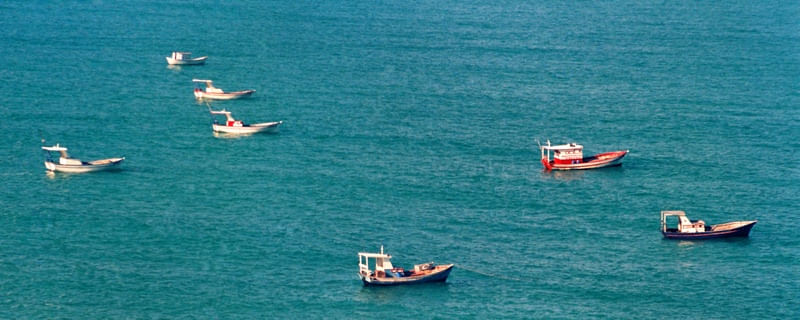 BARCOS 567