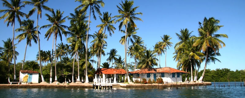 A ILHA 56