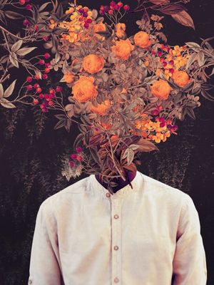 BLOOM BY FRANK MOTH
