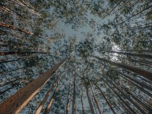 ENERGIA EM ARTE NATUREZA