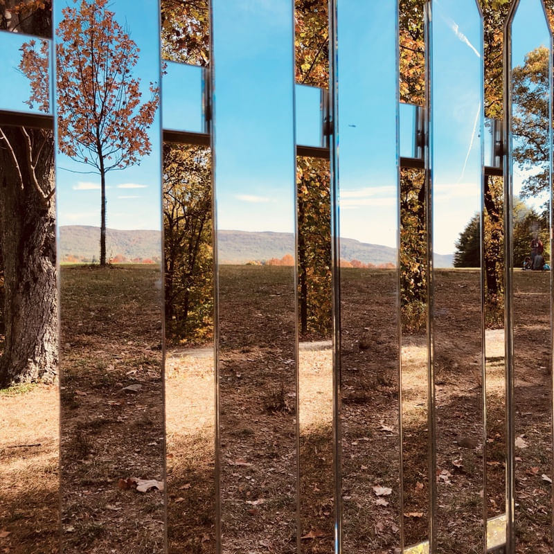 REFLETIR DA NATUREZA