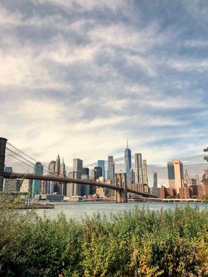 NY VIVA