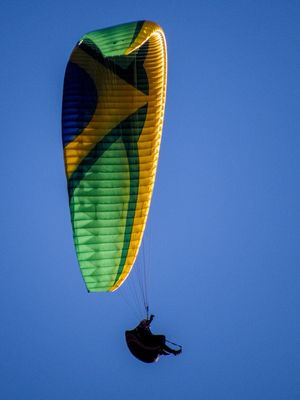 FLYING IN TH SKY