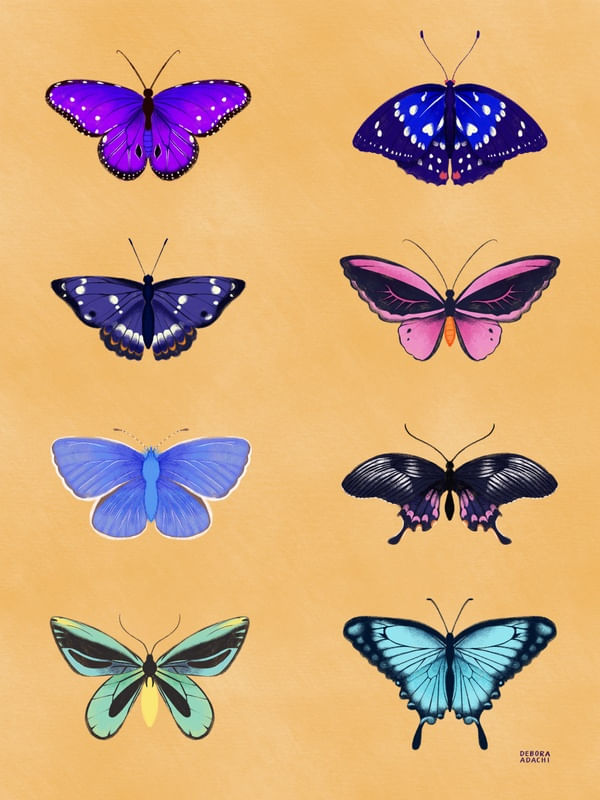 BORBOLETAS - BORBOLETA - NATUREZA - INSETO - AMARELO