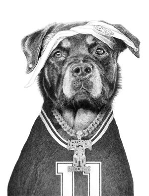 BEAR THE ROTTWEILER