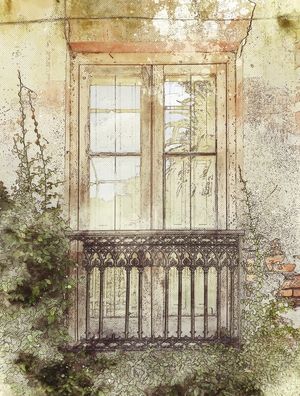 JANELA EM QUINTA CAPURRO, URUGUAI