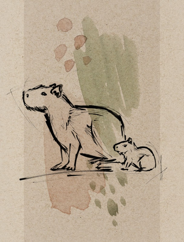 MAMÃE CAPIVARA