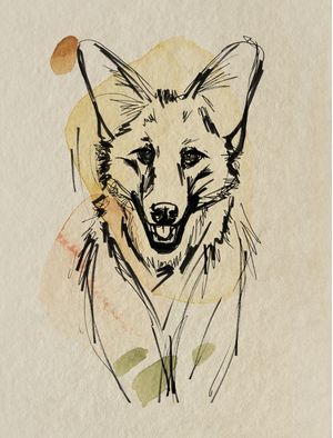 LOBO GUARÁ DO CERRADO