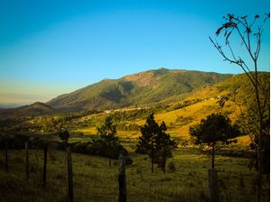 A BELEZA NATURAL