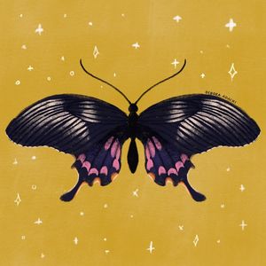BORBOLETA-MOSTARDA-BUTTERFLY-MUSTARD