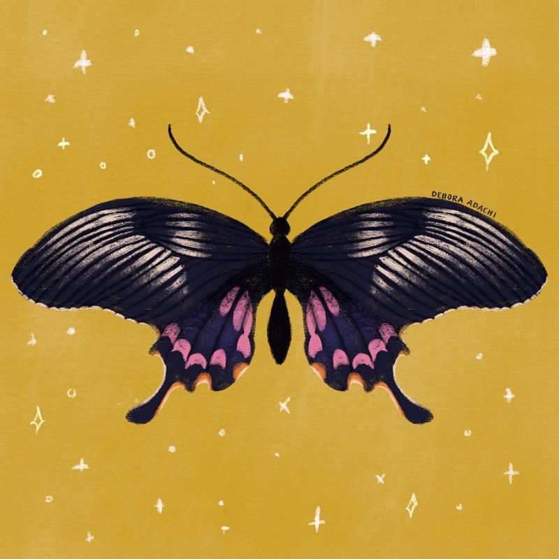 BORBOLETA-MOSTARDA-BUTTERFLY-MUSTARD