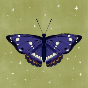 BORBOLETA -INSETO - AZUL - BUTTERFLY