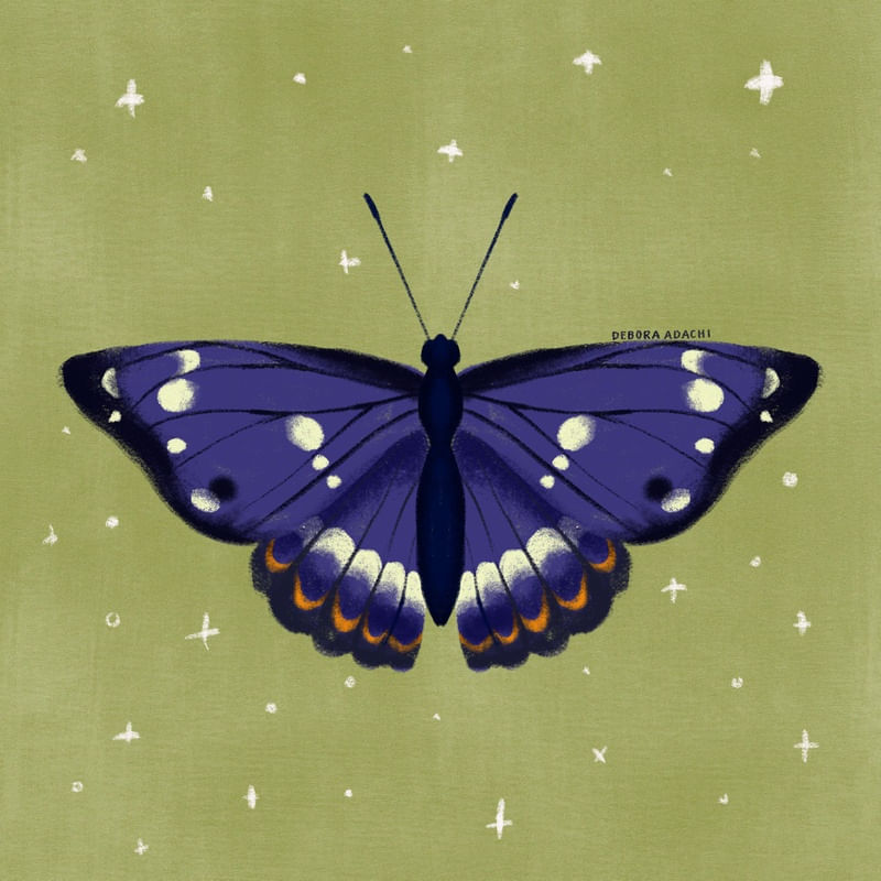 BORBOLETA -INSETO - AZUL - BUTTERFLY