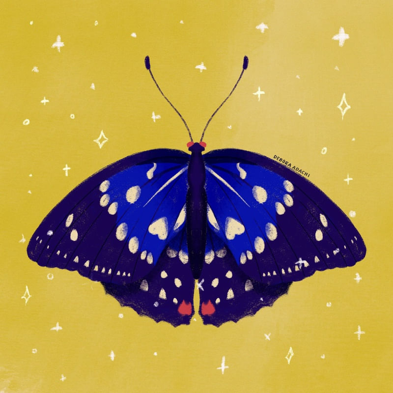 BORBOLETA - INSETO - NATUREZA - BUTTERFLY