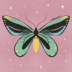 BORBOLETA - INSETO - ROSA - VERDE- BUTTERFLY