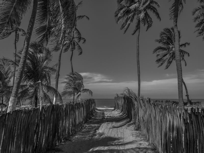 CAMINHO PARA A PRAIA_ICARAIZINHO_CE_PNW