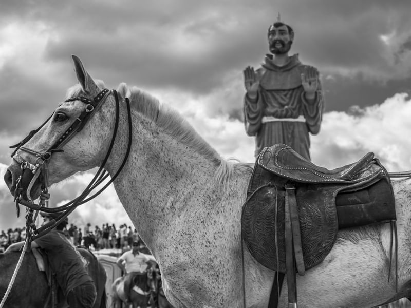 CAVALO SÃO FRANCISCO_CANINDÉ_PNW
