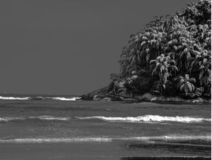ILHA E MAR