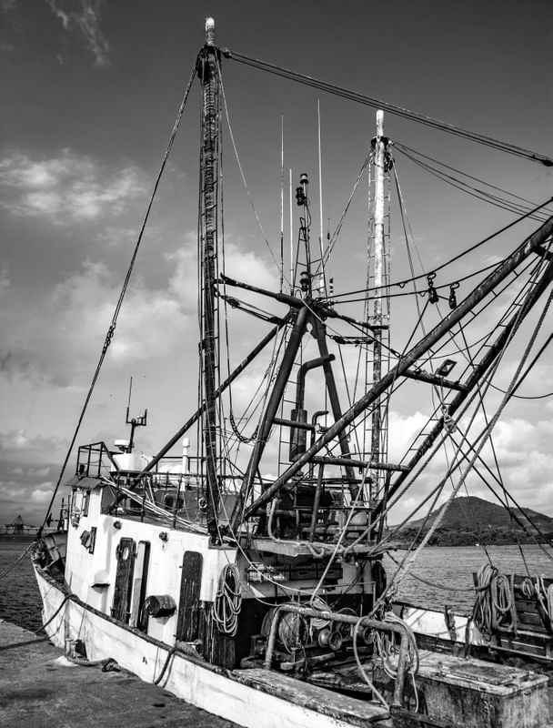 BARCO PESQUEIRO E ARMAÇÃO