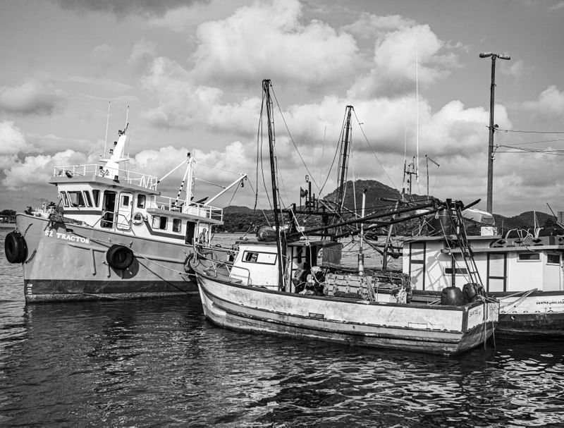 BARCOS ATRACADOS EM SANTOS