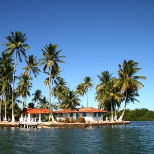 ILHA 45