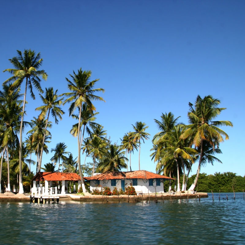 ILHA 45