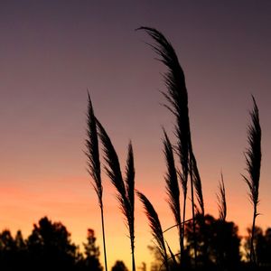 PORDOSOL 2