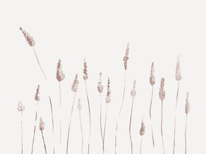 BOTANICAL WATERCOLOR IV