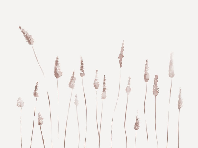BOTANICAL WATERCOLOR IV