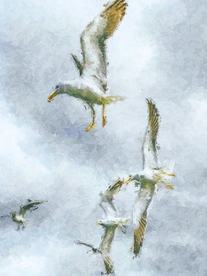 BIRDS - STUDIO403