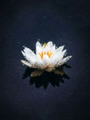 CONTEMPLATION - STUDIO403