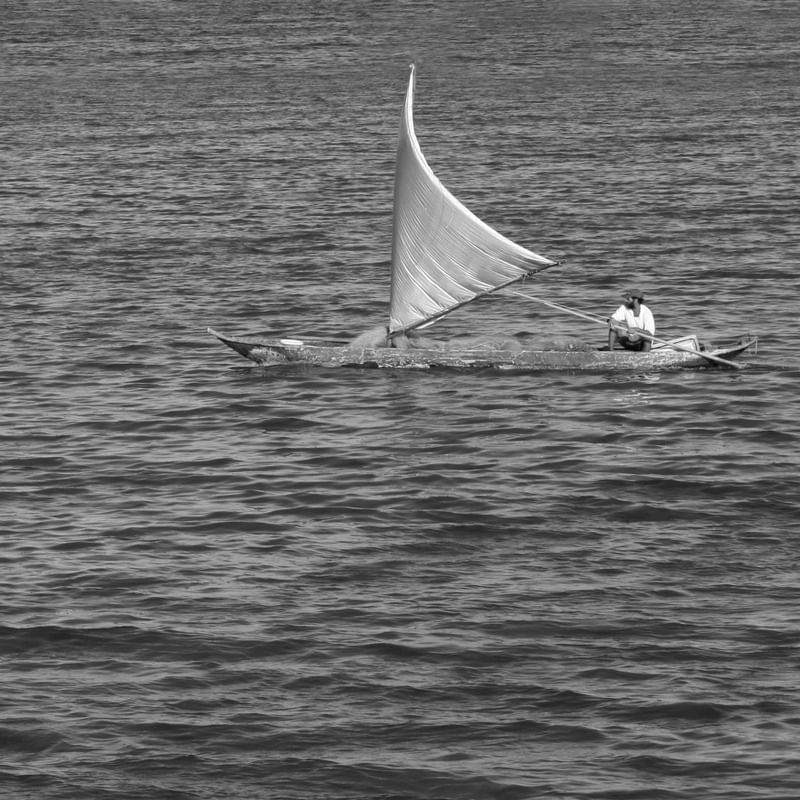 CANOA A VELA 56