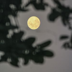 LUA 65