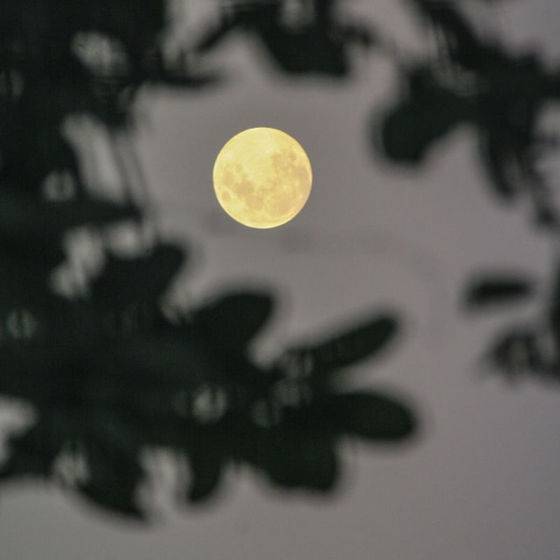 LUA 65