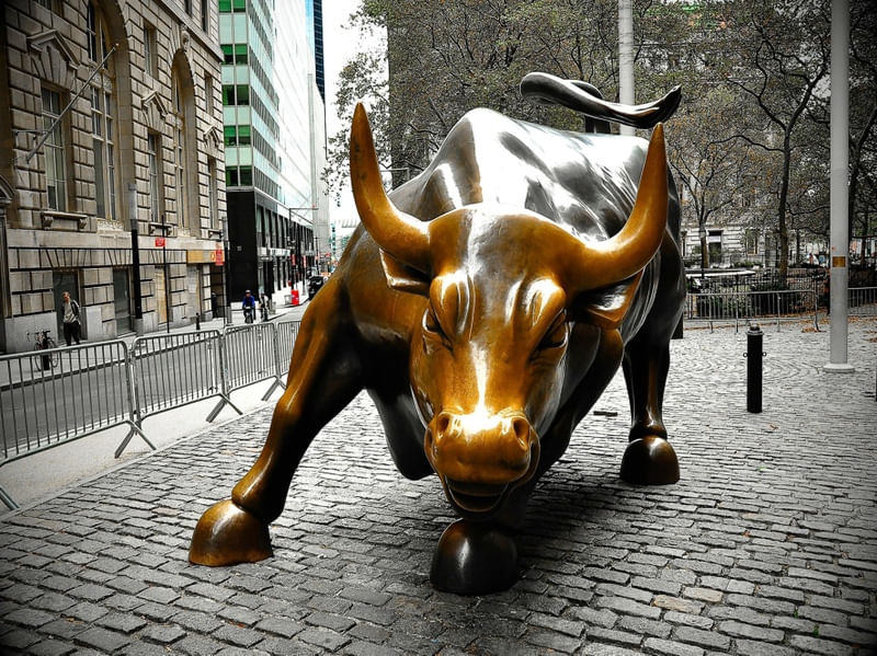 WALL STREET BULL