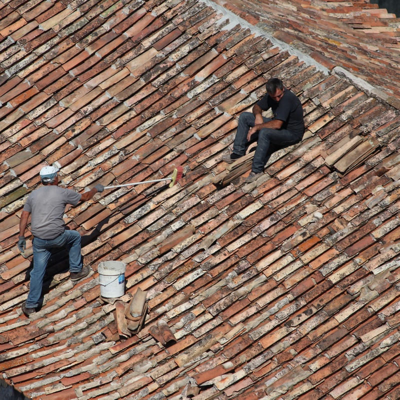 HOMENS E TELHAS