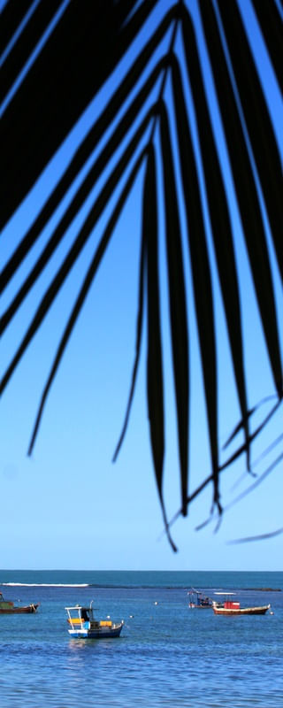 PRAIA DA JATIUCA 5