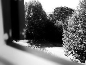 A VISTA DE UMA JANELA