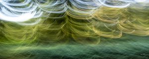 MOVIMENTO ABSTRATO NO PARQUE