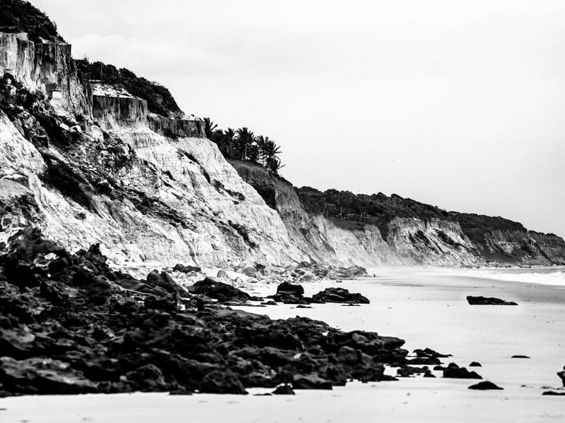 BAHIA MINHA PORRA