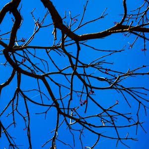 NEURÔNIOS 3