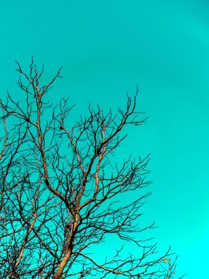 CORES INVENTADAS 2