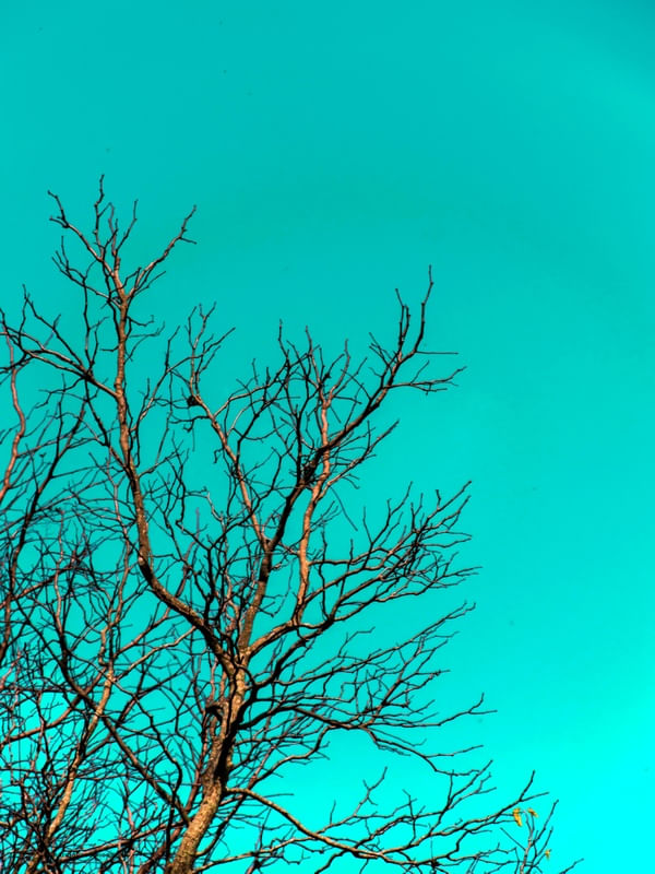 CORES INVENTADAS 2