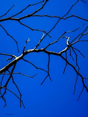 NEURÔNIO 2