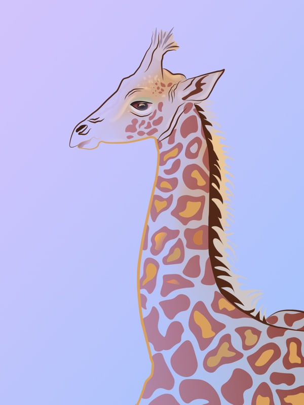 GIRAFFA IN LOVE