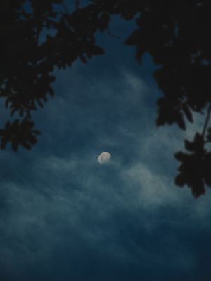 LUA SÓ