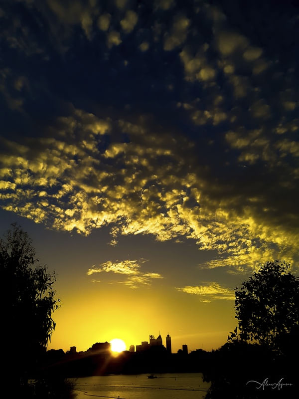 GOLD SUNSET