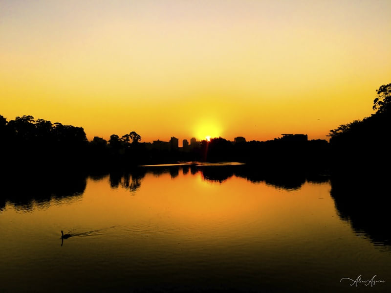 PÔR DO SOL - PARQUE DO IBIRAPUERA